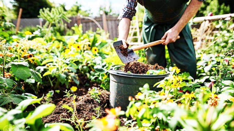 Voici comment transformer vos déchets en un compost riche qui fera de votre jardin un havre de prospérité toute l’année