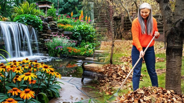 Les secrets pour transformer votre jardin en un havre de paix luxuriant dès septembre