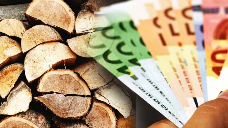 Préparez-vous à affronter l’hiver : découvrez comment les prix du bois en septembre peuvent alléger votre budget