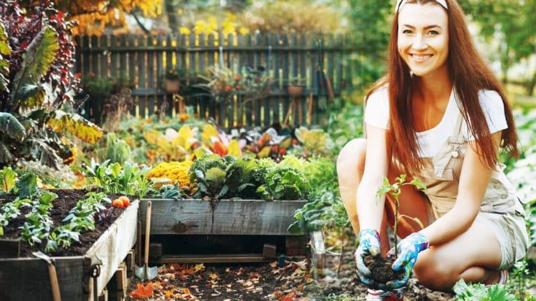 Transformez votre jardin avant l’hiver : découvrez des conseils personnalisés pour préparer votre potager au froid