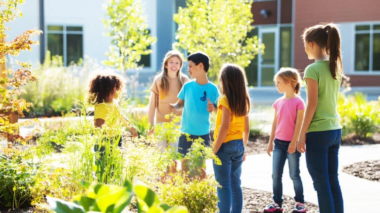 Les jardins pédagogiques à l’école : comment ils transforment l’apprentissage et renforcent les communautés