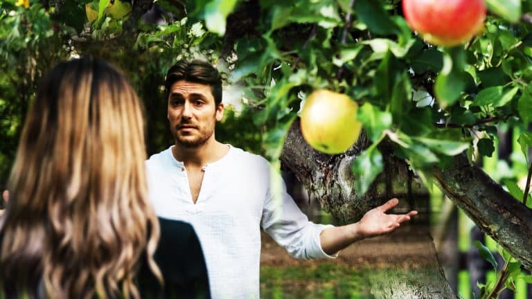 Que faire lorsque mes voisins cueillent les fruits sur les branches qui dépassent de chez moi ?