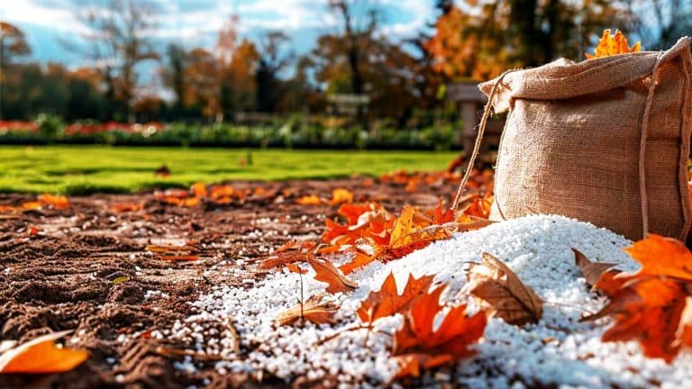 Les secrets de l’automne : pourquoi choisir le nitrate de calcium pour un jardin prospère