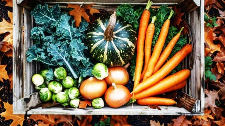 Cultivez ces cinq légumes en octobre pour un potager explosif d’arômes automnaux