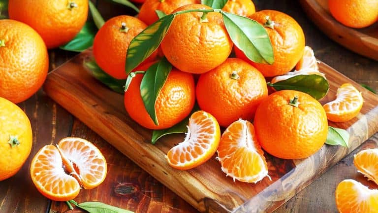 Les secrets des clémentines et mandarines : voici ce qui les distingue et comment les choisir pour votre cuisine