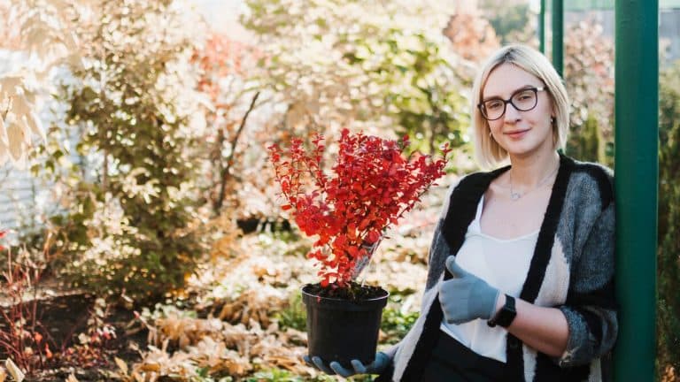 Amenez de la couleur à votre jardin même en hiver : découvrez 5 plantes qui résistent au froid