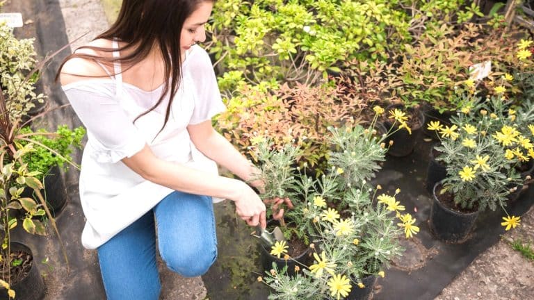 Voici comment le zonage en permaculture peut révolutionner votre espace extérieur