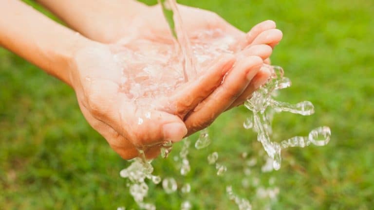 Comment économiser sur l’eau tout en aidant la planète, voici les subventions pour récupérateurs d’eau de pluie