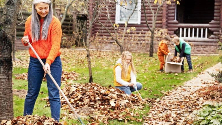 Octobre : le mois crucial pour préparer votre jardin pour un printemps florissant