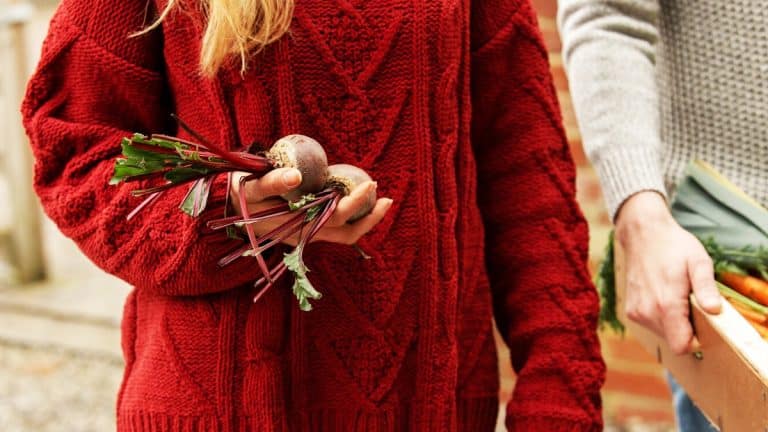 Redécouvrez vos vieux vêtements : transformez-les en alliés précieux pour votre jardin cet hiver