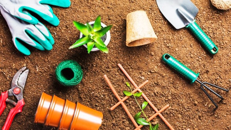 Les outils indispensables pour un jardinage facile et efficace : voici les secrets pour transformer votre jardin!