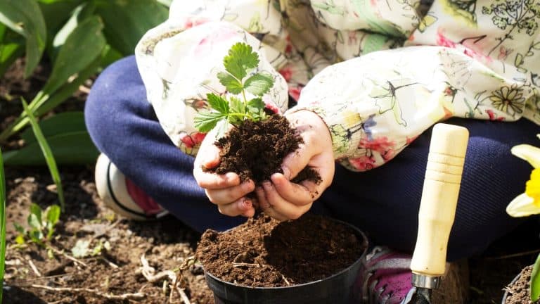 Voici comment planter avec la lune en 2024 pour transformer votre potager en un véritable havre de verdure