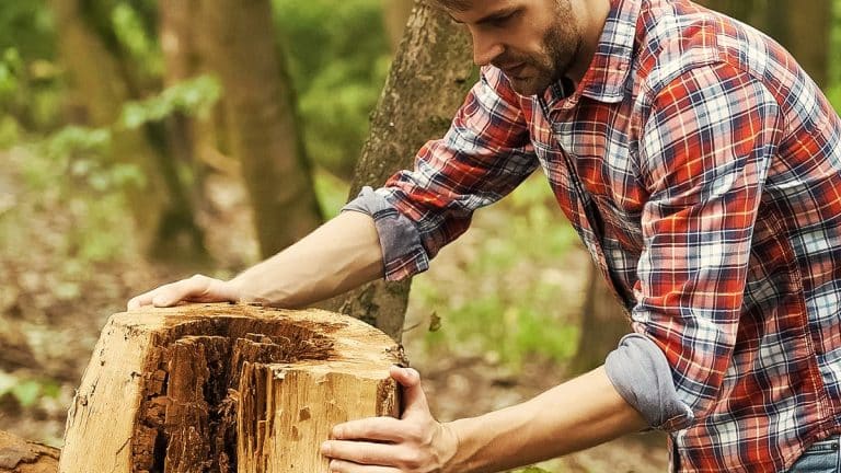 Les secrets de grand-père révélés : voici comment éliminer une souche d’arbre tenace avec astuce et naturellement