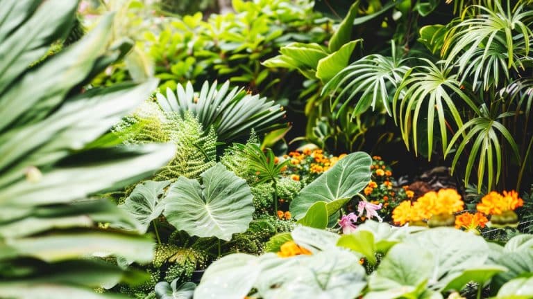 Les secrets d’un jardin éclatant : transformez vos feuilles mortes en un trésor pour vos plantes