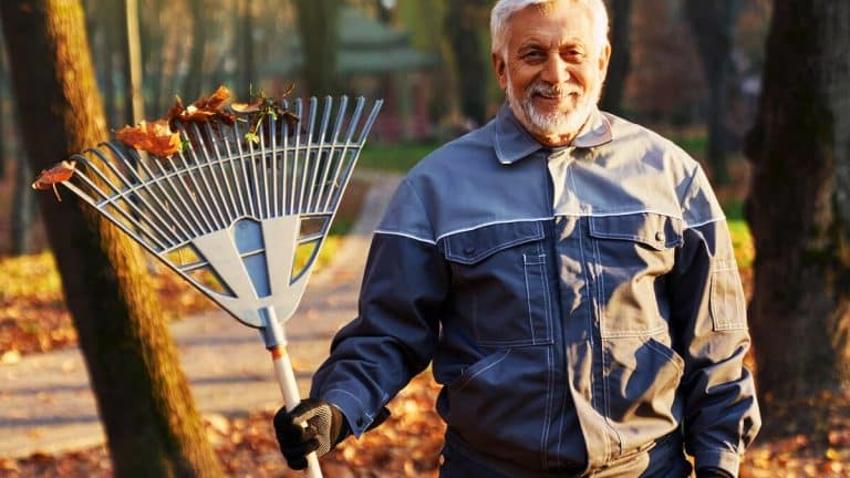 Astuce infaillible de mon grand-père pour transformer votre jardin en éliminant les souches d’arbres