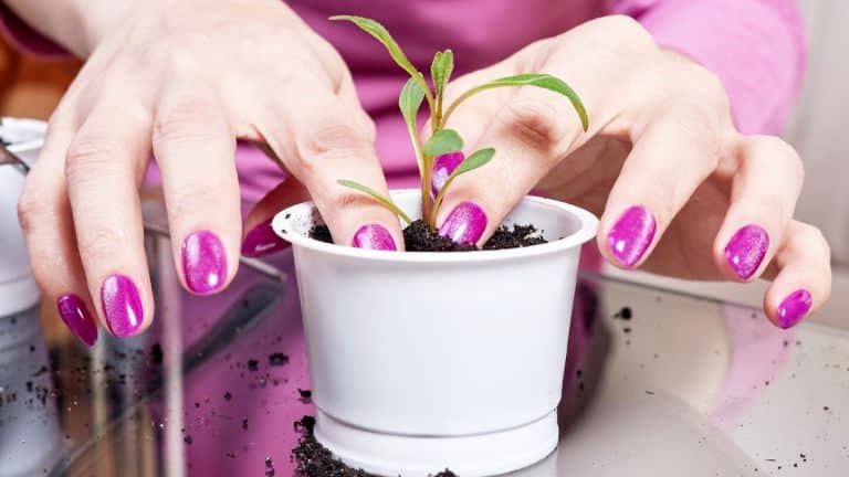 Voici comment garder des ongles impeccables en jardinant sans gants : une astuce simple et écologique