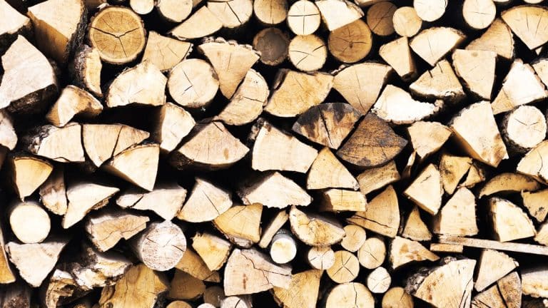 Prenez les devants cet hiver : comment l’évolution des prix du stère de bois peut impacter votre budget de chauffage