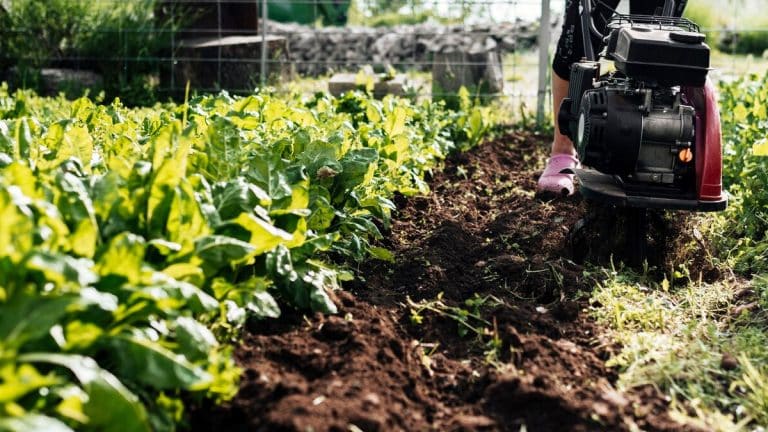 Les secrets pour créer une butte auto-fertile en Hugelkultur chez vous