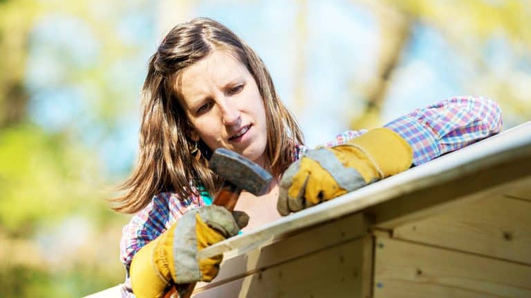 Évitez la taxe sur votre abri de jardin avec ces astuces légales que tout propriétaire doit connaître