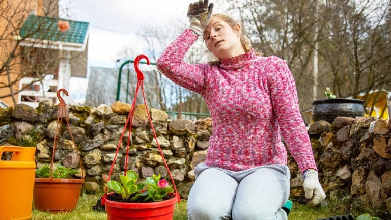 Votre jardin reste désespérément vide, voici comment booster vos cultures et savourer des légumes maison