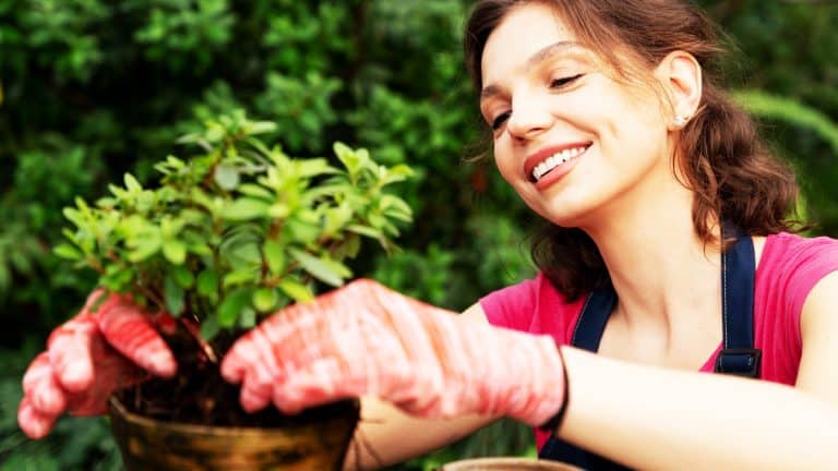 Les secrets pour jardiner sans tacher vos ongles : découvrez une astuce simple qui changera votre routine