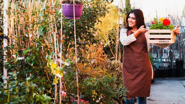 Créez un havre de paix hivernal : les secrets pour un jardin coloré et résistant tout l’hiver