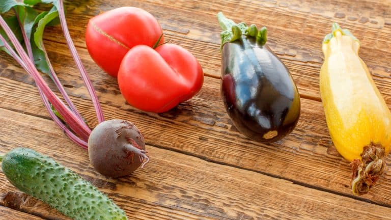 Les secrets des légumes perpétuels : transformez votre jardin en une source de récoltes inépuisables