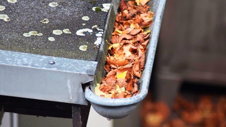 Les raisons impérieuses de maintenir vos gouttières propres avant l’hiver