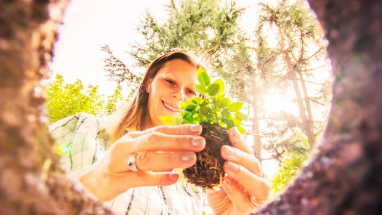 Découvrez comment ces protecteurs silencieux préservent la santé de vos arbres et harmonisent votre jardin