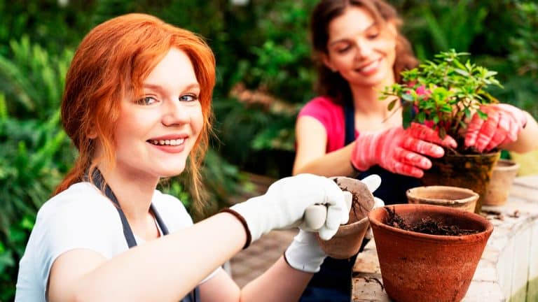 Les jardiniers vous alertent : ces 8 plantes ne doivent pas être taillées en automne pour un jardin resplendissant