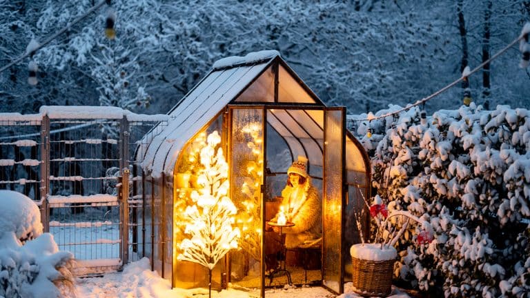 Les secrets d’un jardin hivernal enchanteur : transformez votre espace en un tableau féérique sous la neige