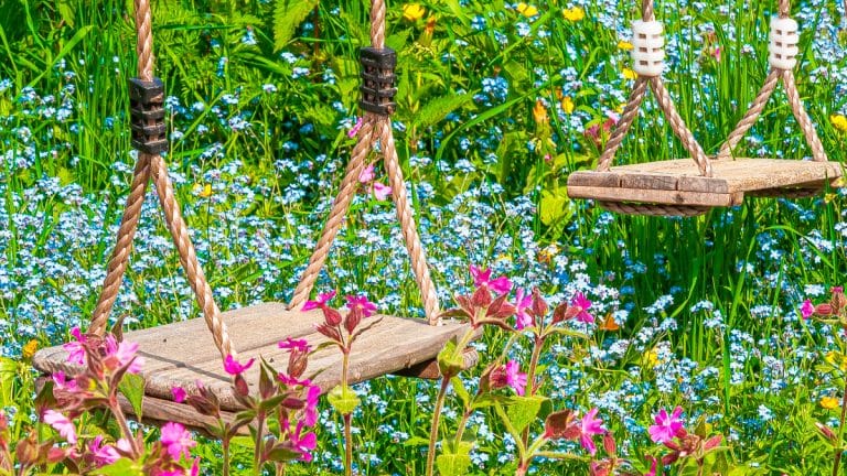 Les secrets pour un jardin florissant sans chimie: guide ultime pour protéger votre éden naturellement