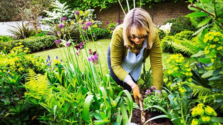 Les secrets pour transformer votre jardin en un bastion résistant au gel cet hiver