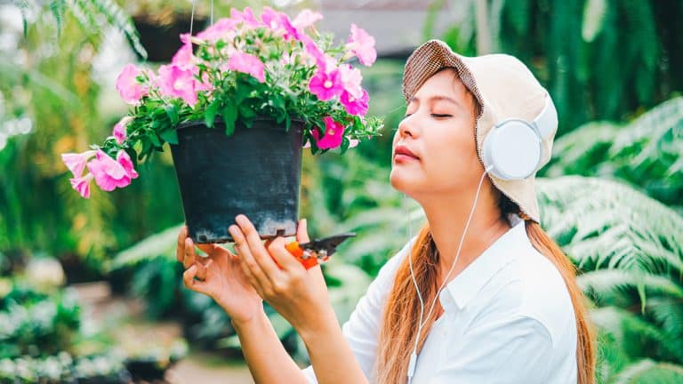 Amoureux du jardinage et de la musique, découvrez ces 7 chansons qui feront chanter vos plantes