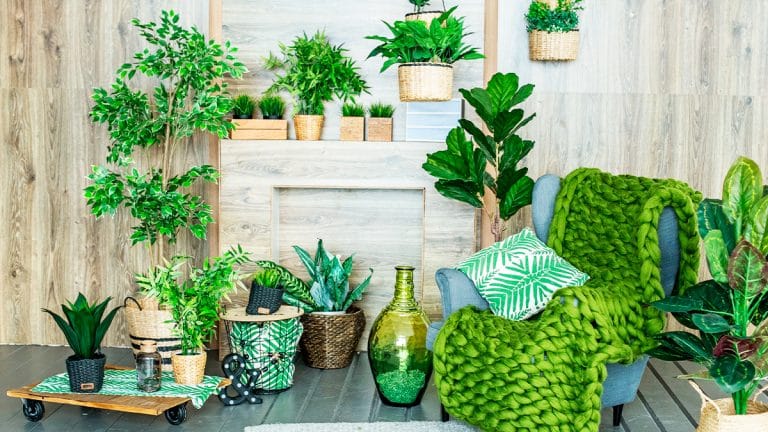 Créez un oasis de verdure sur votre balcon : comment cultiver facilement des légumes en pots