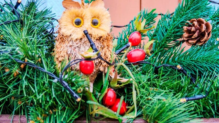 Créez une couronne de Noël qui ravira les oiseaux et embellira votre espace extérieur