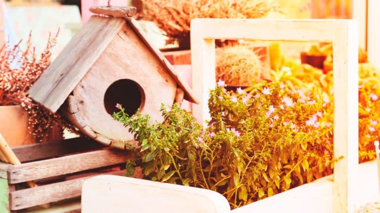 Découvrez les secrets d’un jardin équilibré en installant un hôtel à insectes