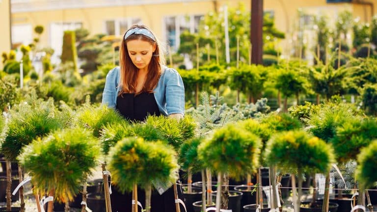 Comment lancer votre micro-pépinière pour cultiver des arbres sans vous ruiner ? Découvrez notre guide complet !