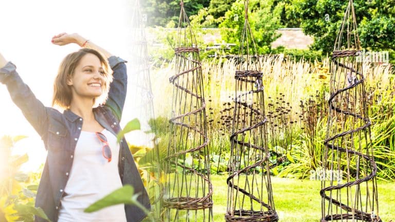 Découvrez comment un simple obélisque peut transformer l’atmosphère de votre jardin en un lieu de sérénité et d’histoire