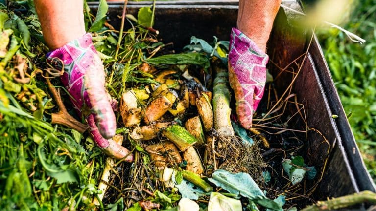 Découvrez comment préparer un compost riche pour un jardin flamboyant au printemps