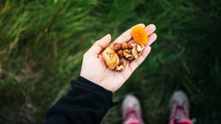 Les secrets de la nature à votre portée : découvrez comment récolter vos propres aliments sauvages