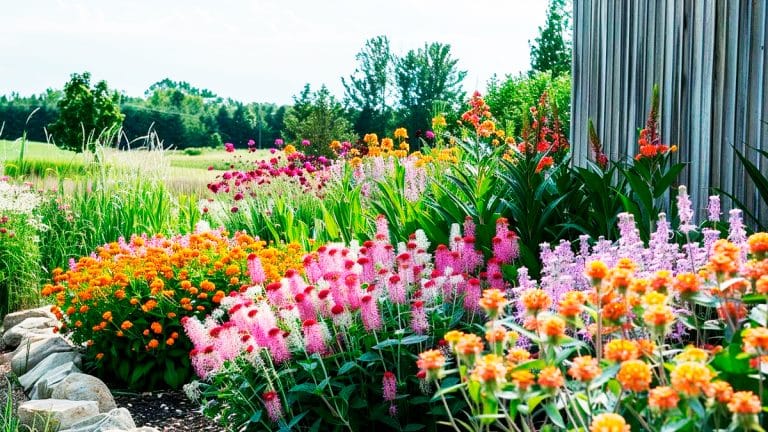 Transformez votre jardin en un paradis pour papillons avec ces plantes essentielles