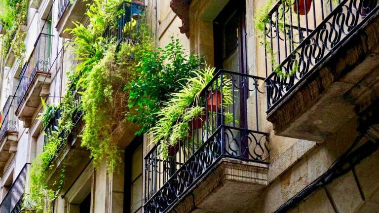 Transformez votre balcon en un oasis de verdure avec ces légumes parfaits pour les petits espaces