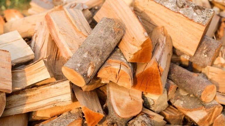 Les types de bois de chauffage à éviter pour un hiver chaleureux et sans danger