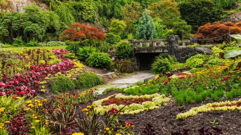 Les secrets pour un jardin luxuriant : quels légumes semer maintenant pour une explosion de goûts au printemps ?