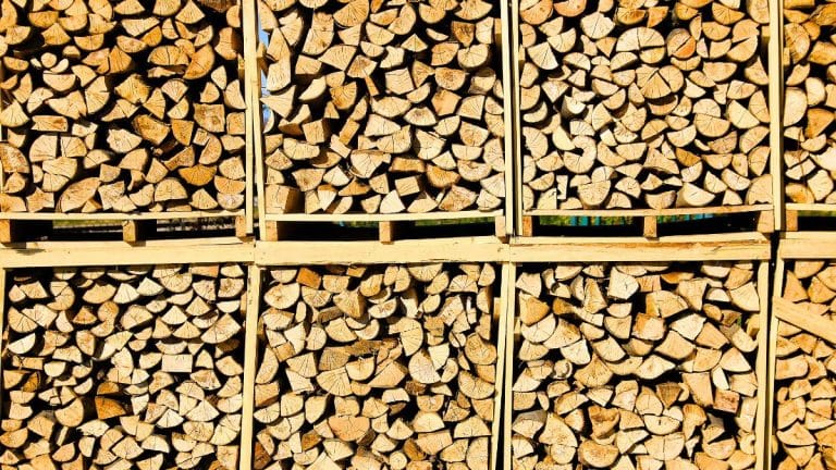 Les erreurs fréquentes dans le stockage du bois de chauffage qui réduisent son efficacité et son rendement