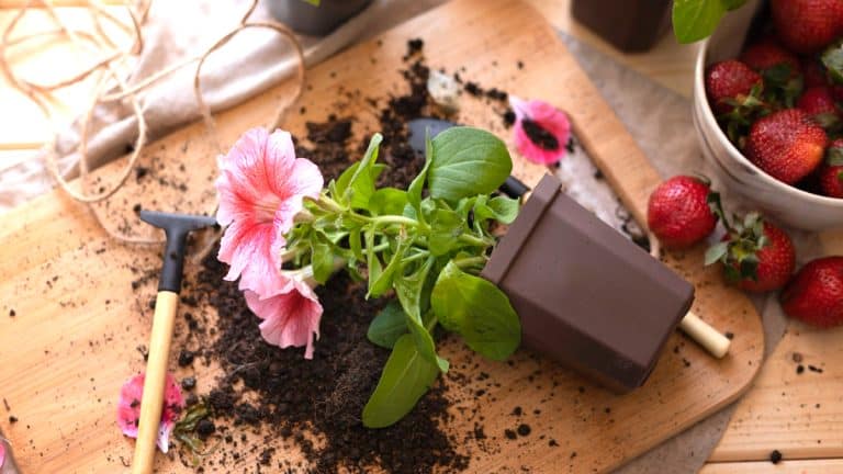 Créez un jardin éblouissant dès le printemps en plantant ces bulbes en automne