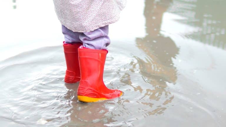 Comment garantir des sols impeccables même pendant la saison des pluies ? Découvrez nos astuces infaillibles