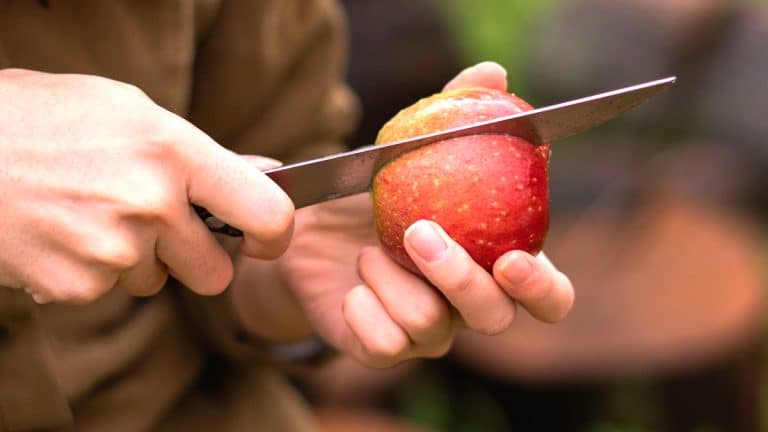 Les secrets pour choyer vos arbres fruitiers en novembre et garantir une explosion de saveurs au printemps