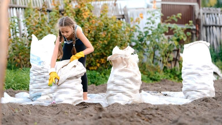 Transformez vos vieux habits en boucliers pour votre jardin cet hiver : une méthode écologique et économique à découvrir !